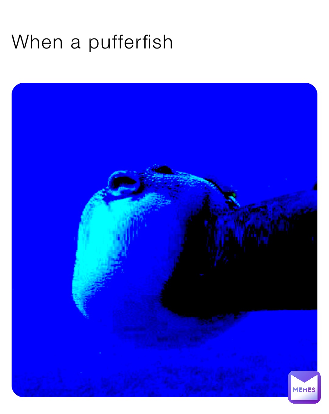 When a pufferfish | @ewjeremy | Memes