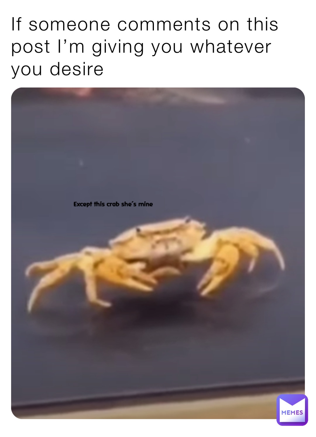 If someone comments on this post I’m giving you whatever you desire Except this crab she’s mine