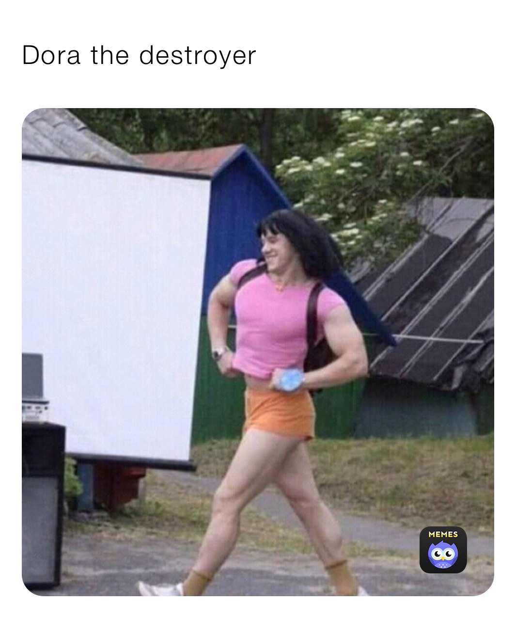 Dora the destroyer