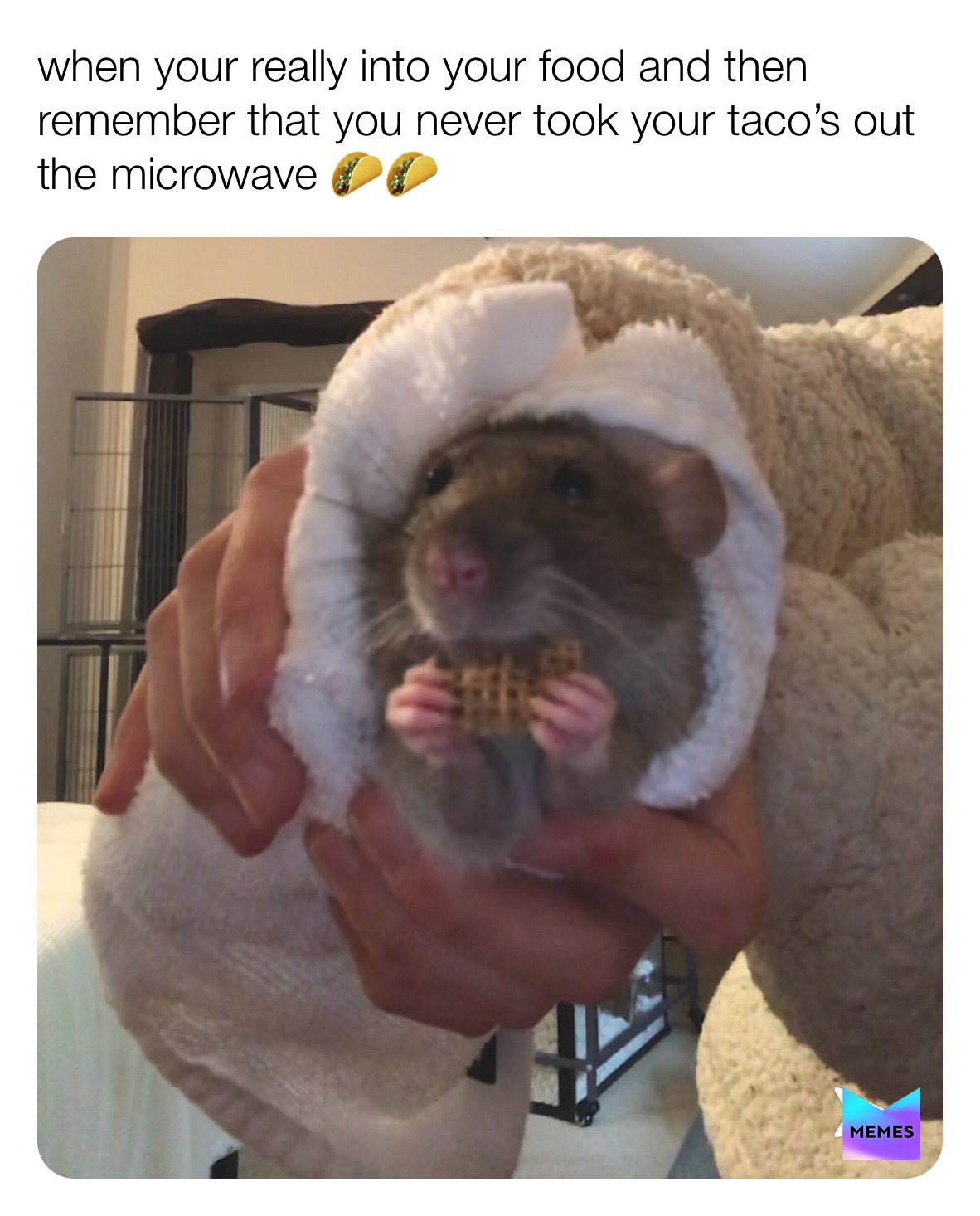 Meme by leyla_tehehe