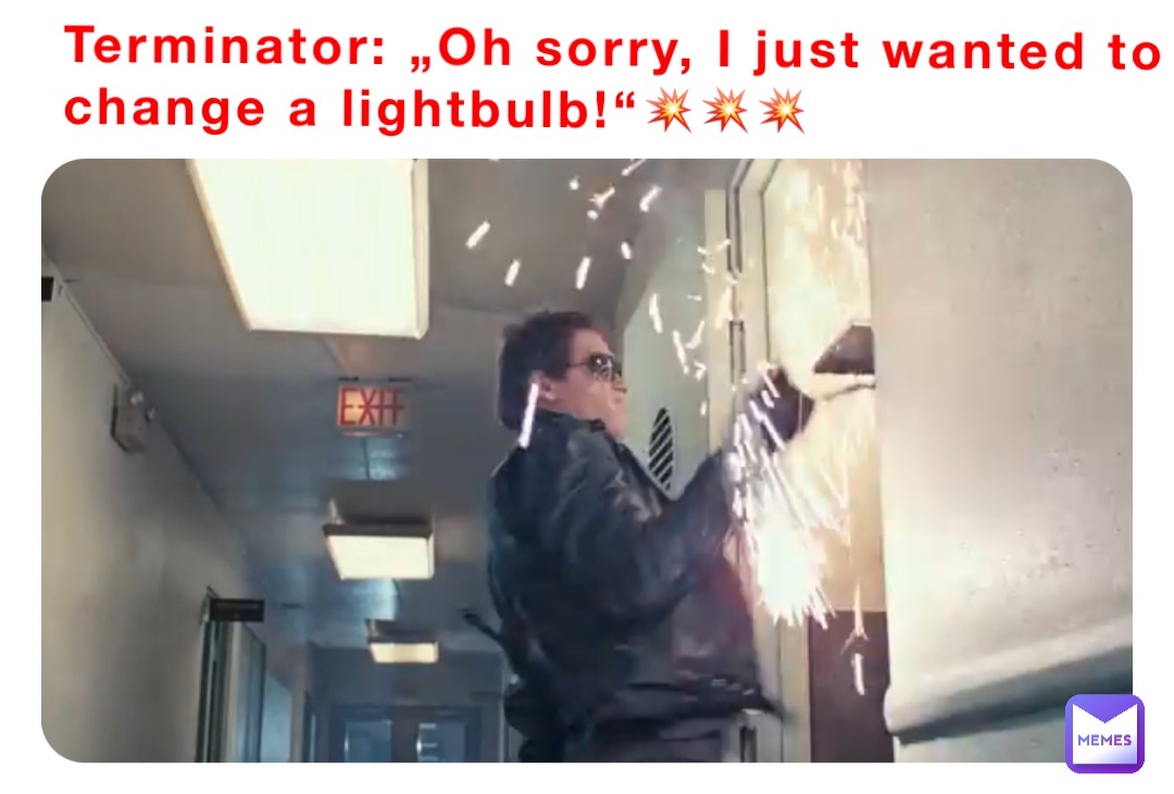 Terminator: „Oh sorry, I just wanted to change a lightbulb!“💥💥💥