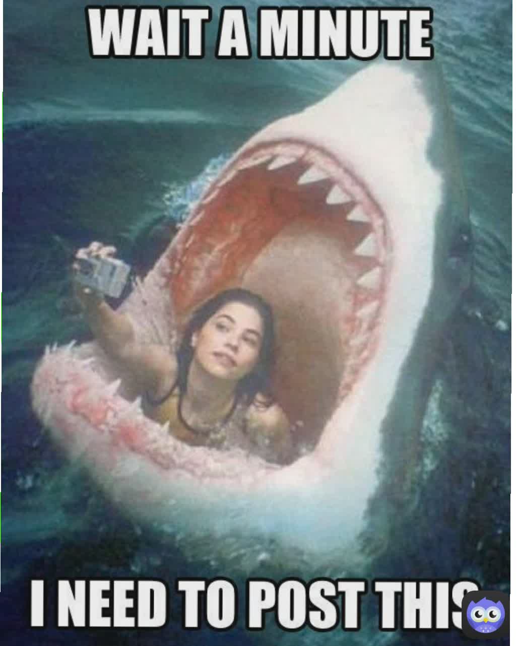 Meme by Just.Laugh.and.do.nothing