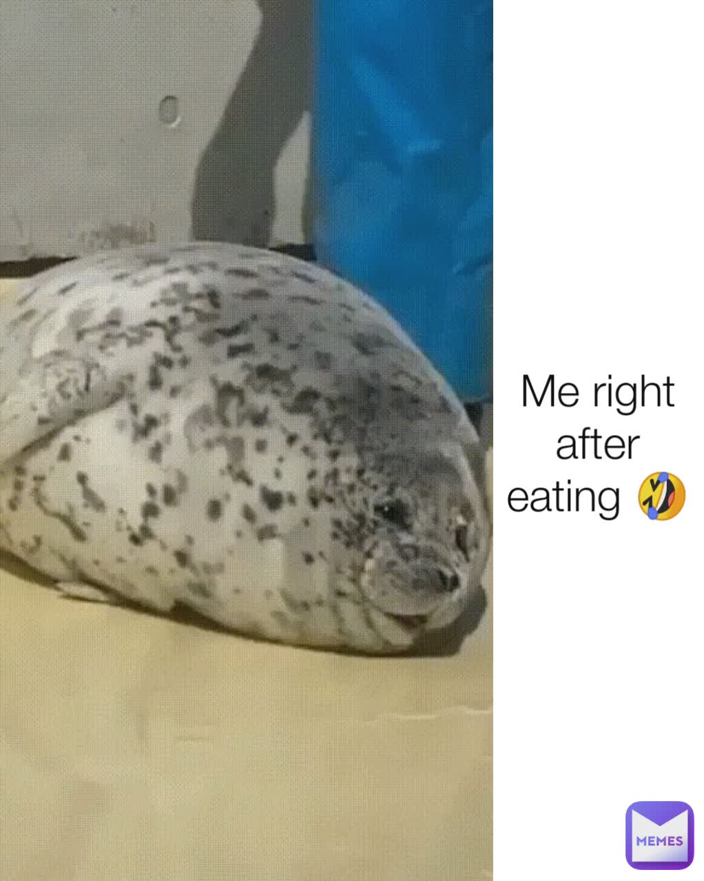 Me right after eating 🤣