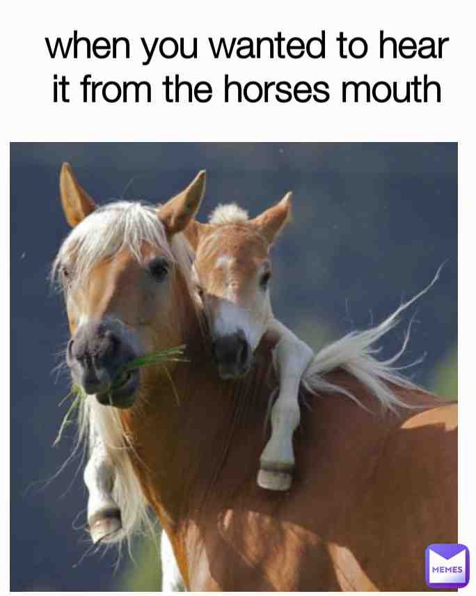 Meme shared by @alexanderterritoriesllc