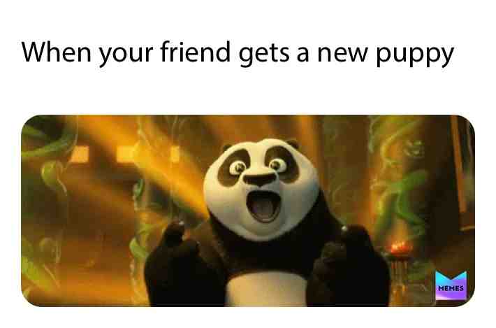 Meme shared by @memerocket27