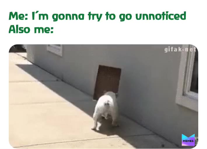 Meme shared by @memerocket27