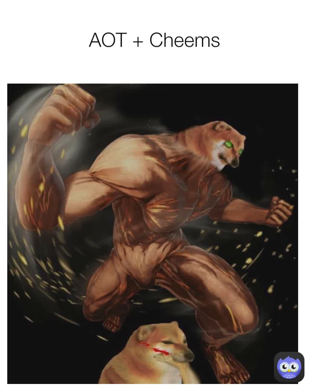 AOT + Cheems
