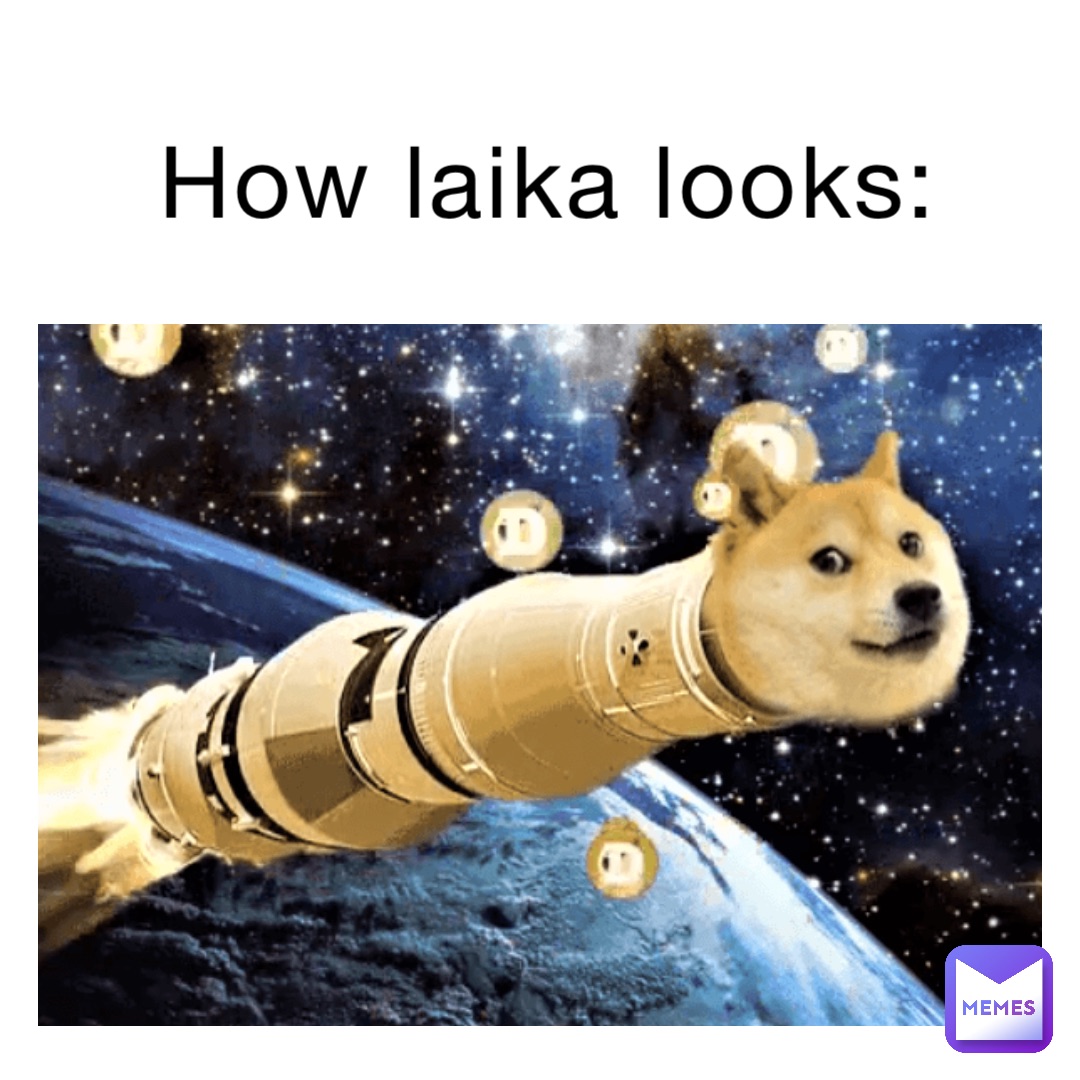 HOW LAIKA LOOKS: