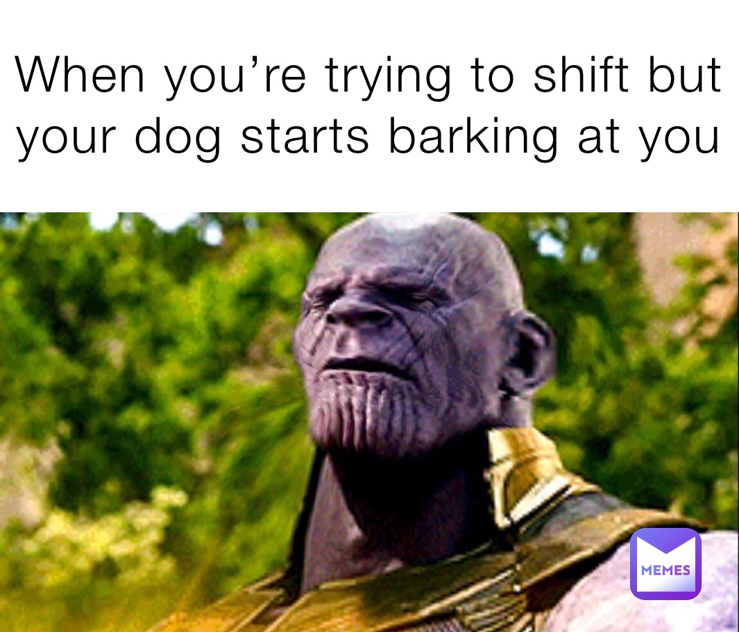 When you’re trying to shift but your dog starts barking at you 