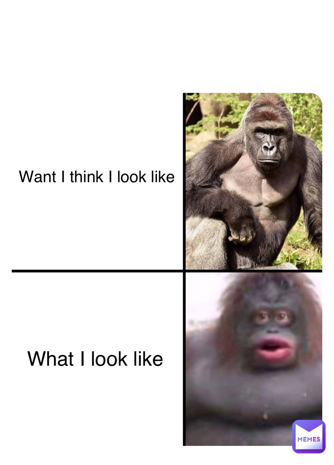 Meme by megamind_2.0