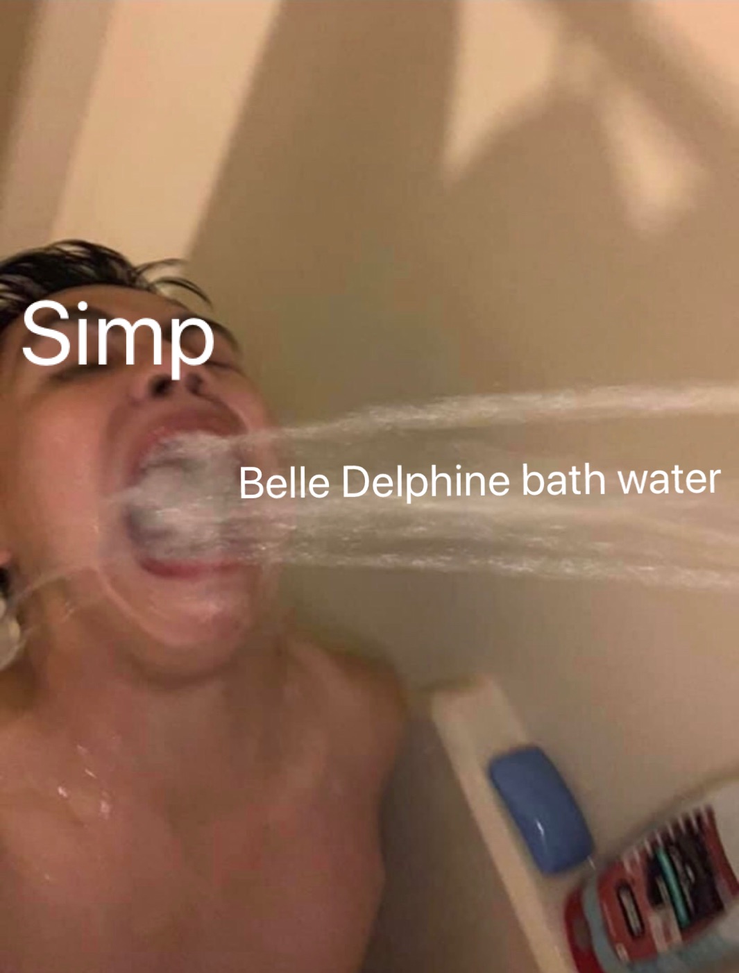 Belledelphine Memes
