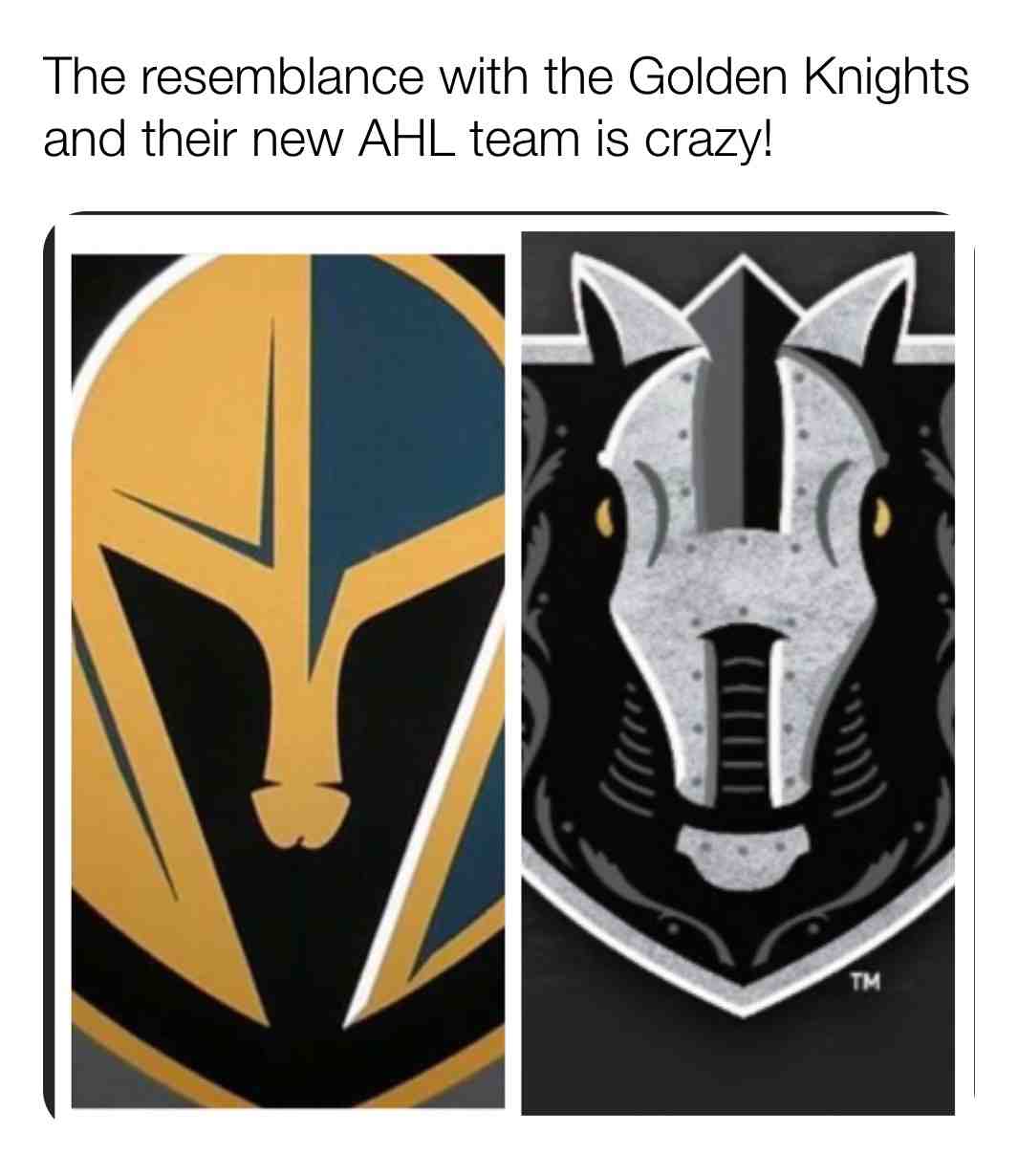 🦈🦈 #GoSharks #Goldenshowers