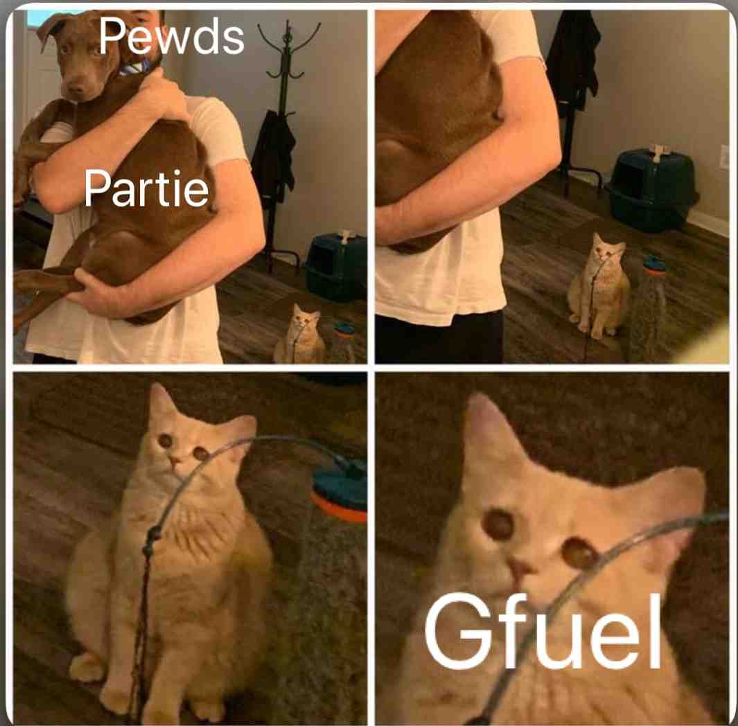 Meme shared by @bradmurdock