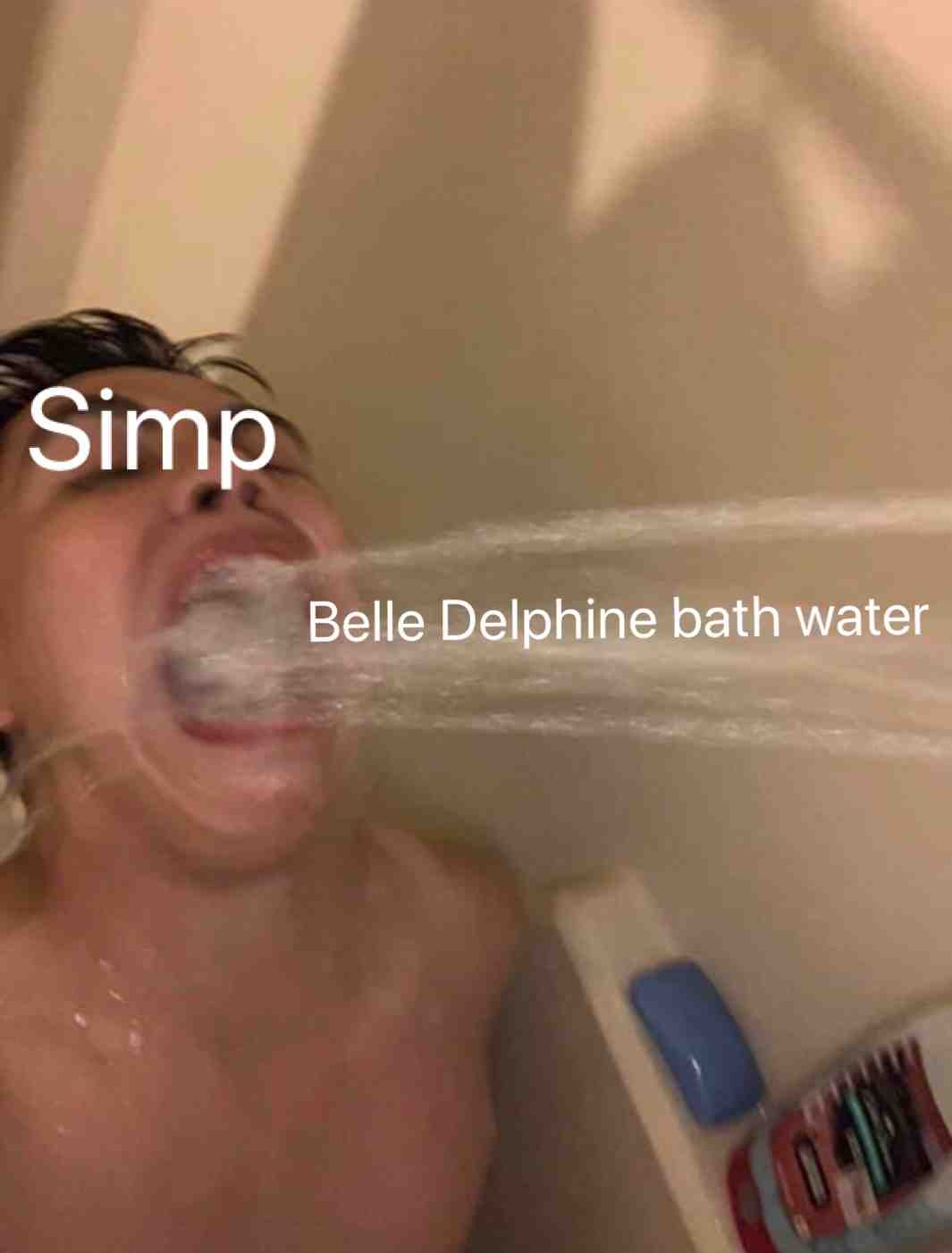 Pretty accurate though 😂 #belledelphine