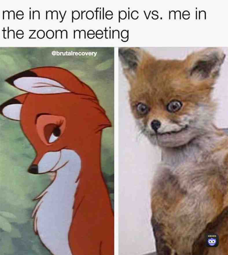 #zoommeeting