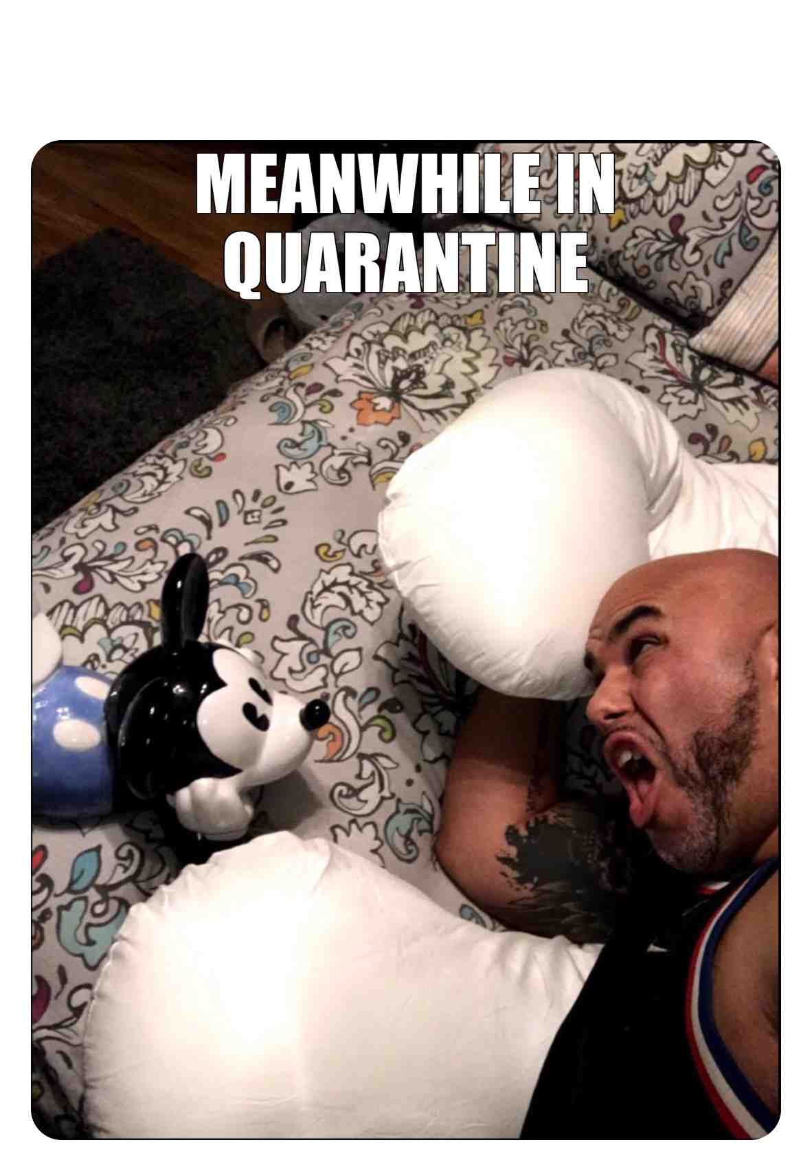 #memeplus  #memes  #memesquad  #meme  #memesdaily  #instamemes  #quarentine  #coronavirus  #helpme  #memestagram