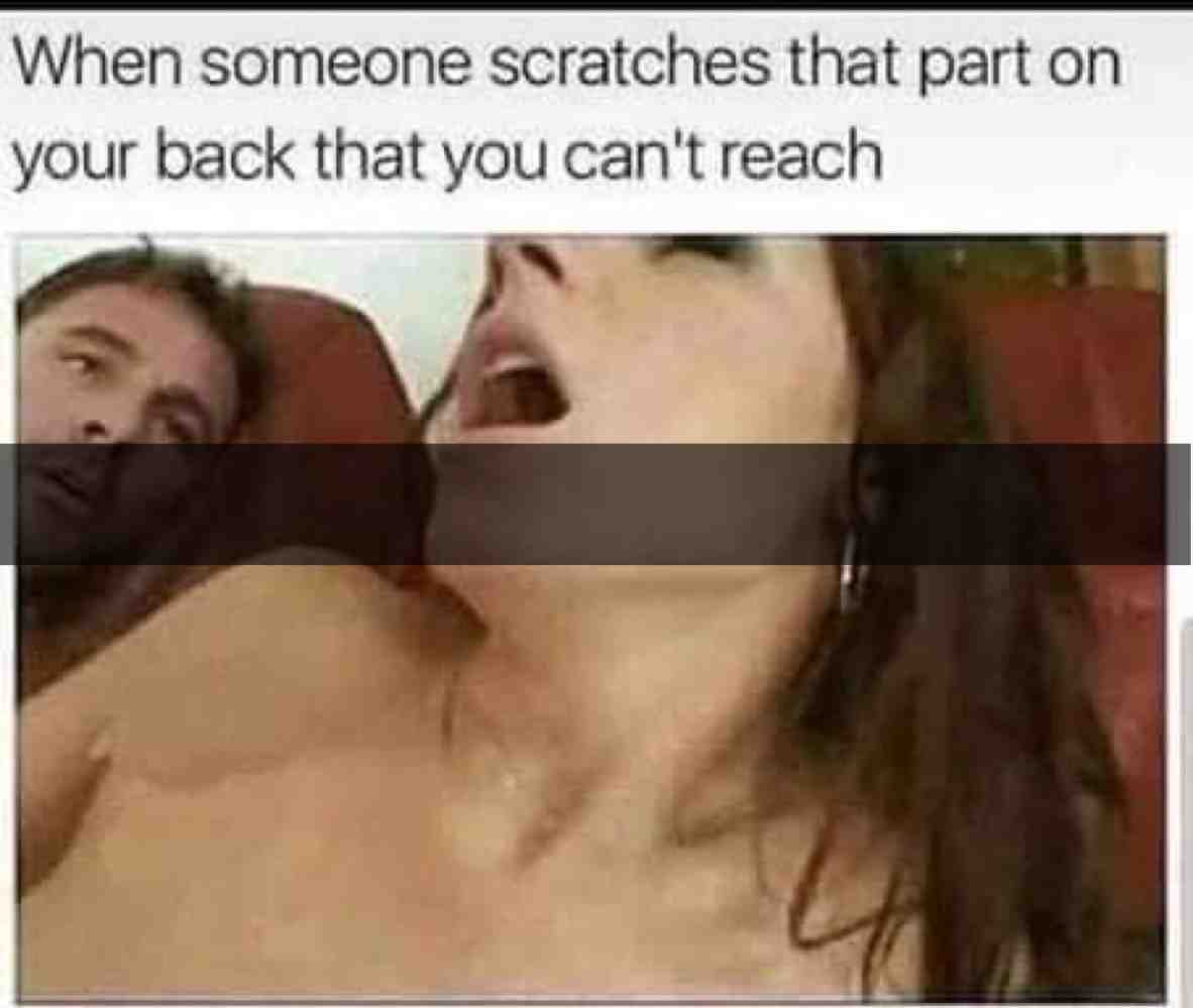 #memeplus #meme #memesdaily #instamemes #memesquad #memes #gemini #instagood #omg #instafollow #insta #lmao #funnymemes #instalike #instagram #sexy #sexymemes