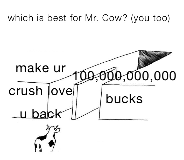 which is best for Mr. Cow? (you too)