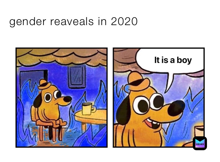 gender reaveals in 2020