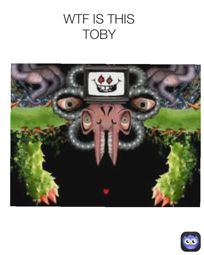 WTF IS THIS TOBY