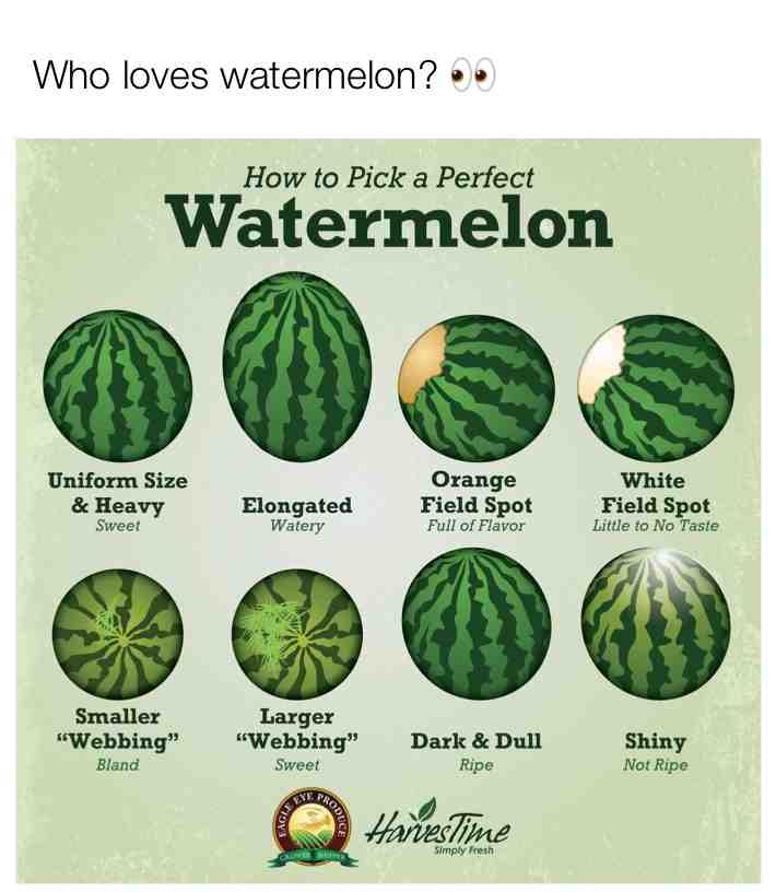 #wow #memestar #watermelons #memes #fb #Twitter #follow #me #memestagram SNOWWAKKA ❄️🥰
