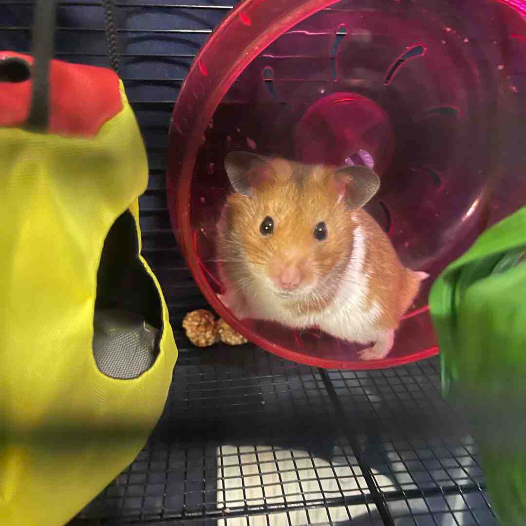 Don’t look at me like sh*t