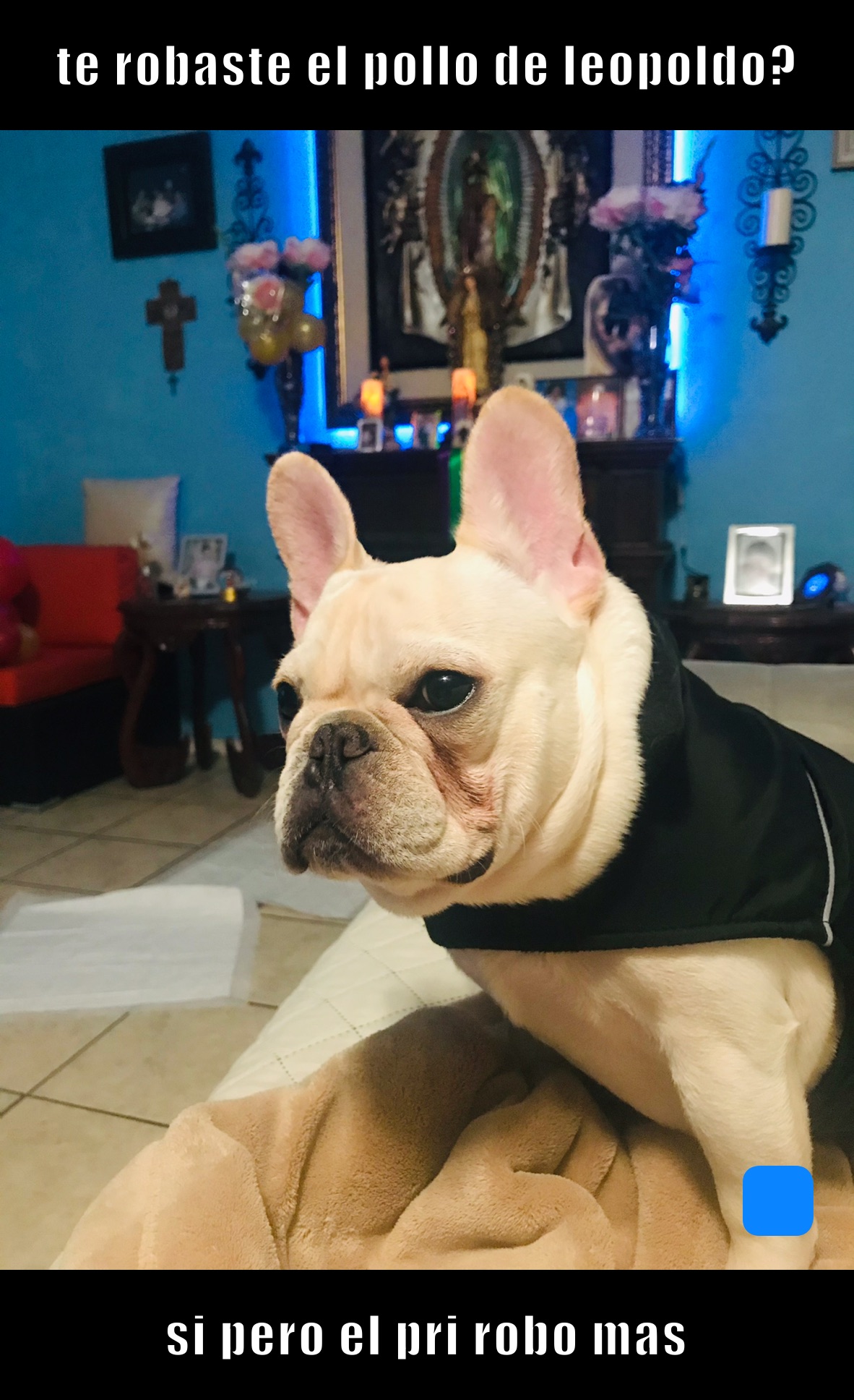 te robaste el pollo de leopoldo? si pero el pri robo mas