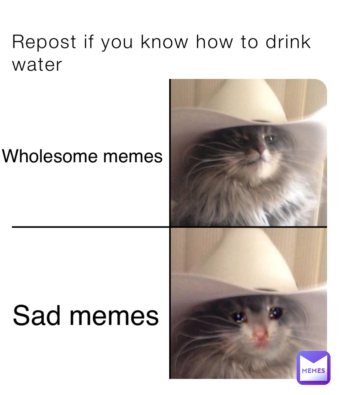 Repost if you know how to drink water Wholesome memes Sad memes