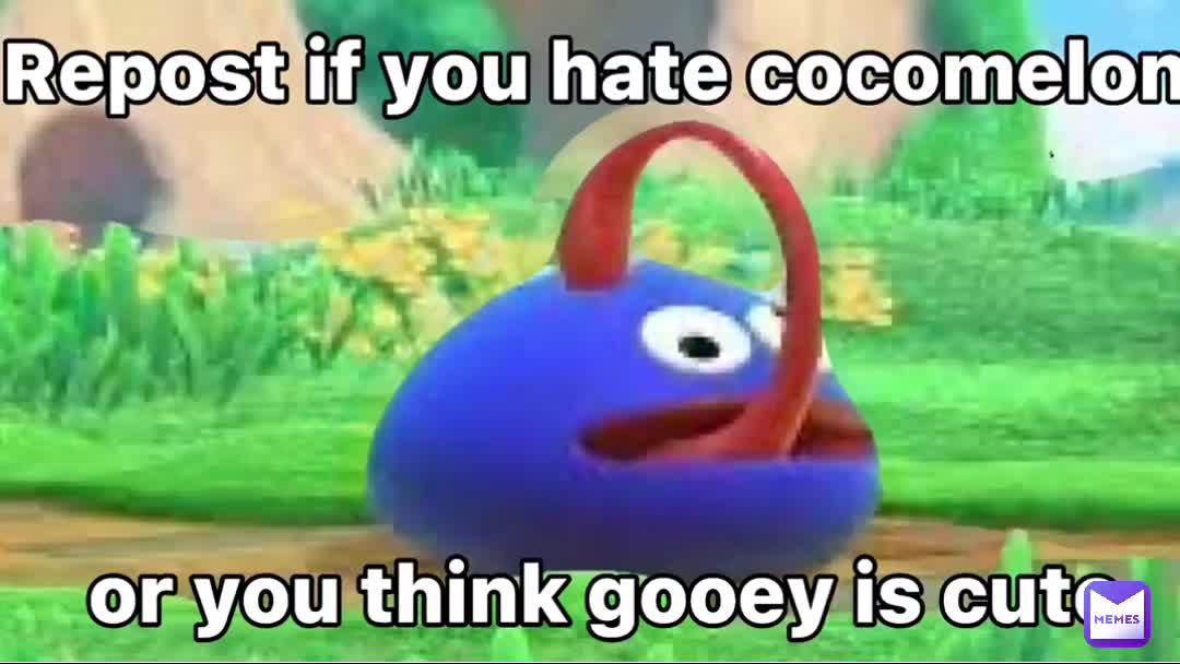 Meme shared by @chillZardy