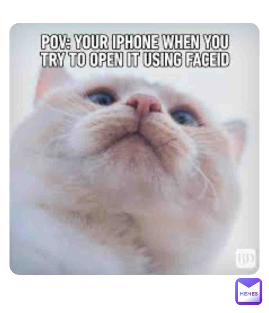 Meme shared by @SamiMEMER91