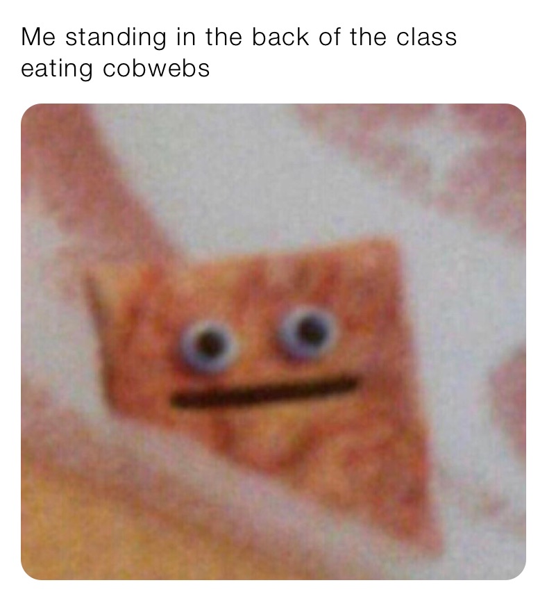 Me standing in the back of the class eating cobwebs 