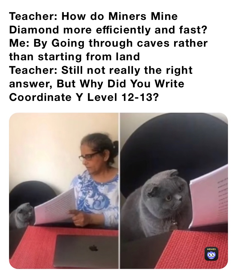 Teacher: How do Miners Mine Diamond more efficiently and fast?
Me: By Going through caves rather than starting from land
Teacher: Still not really the right answer, But Why Did You Write Coordinate Y Level 12-13?