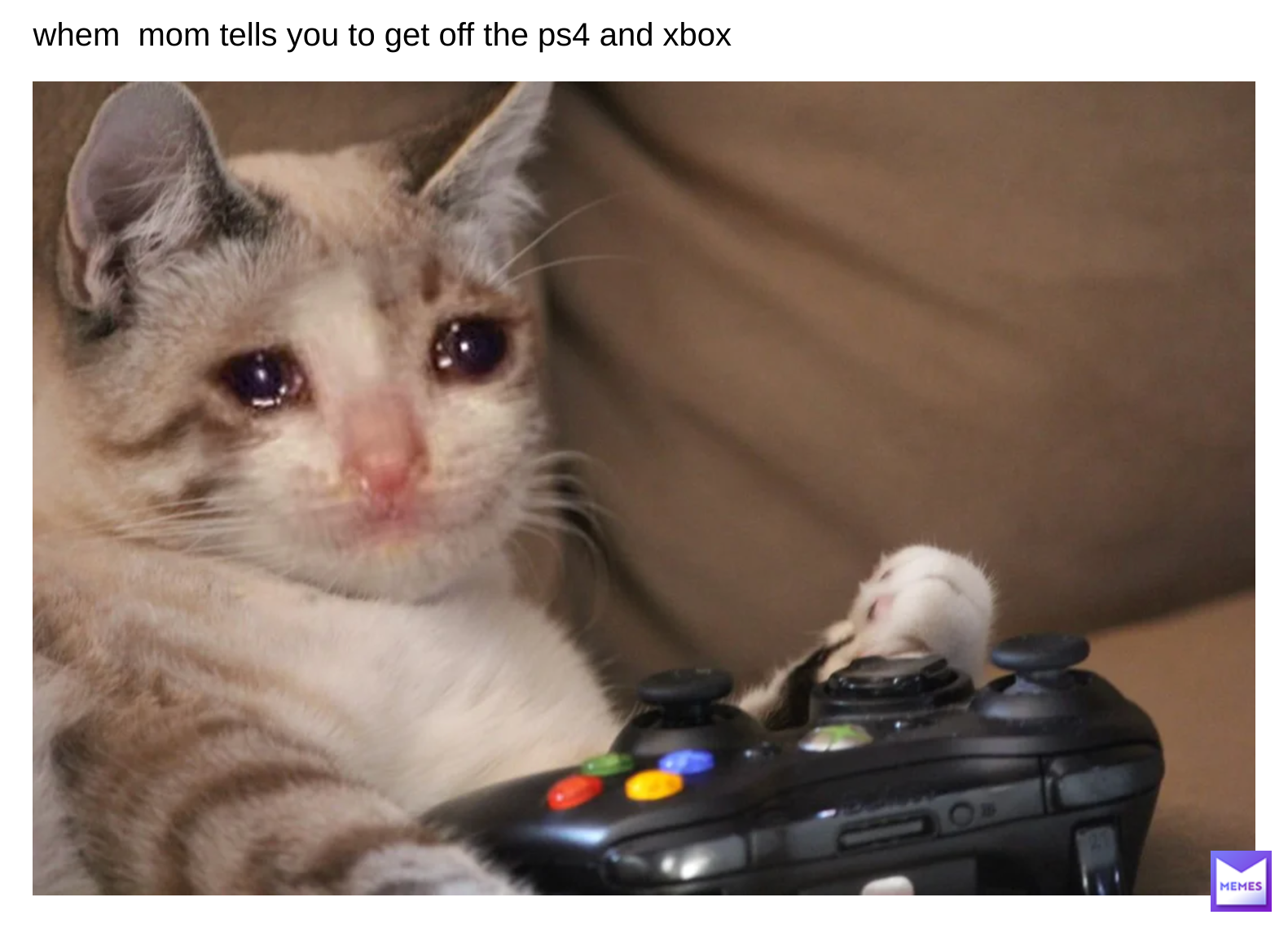 Meme by michaelsfunnymemes