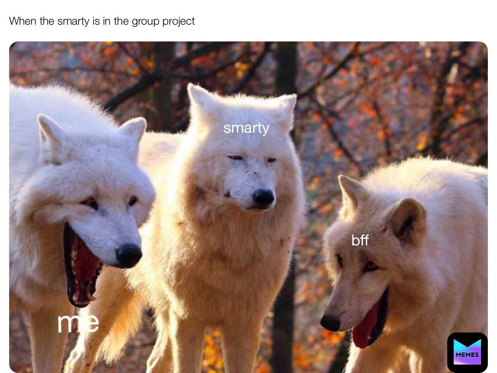 So true #memes #wolf #groupproject