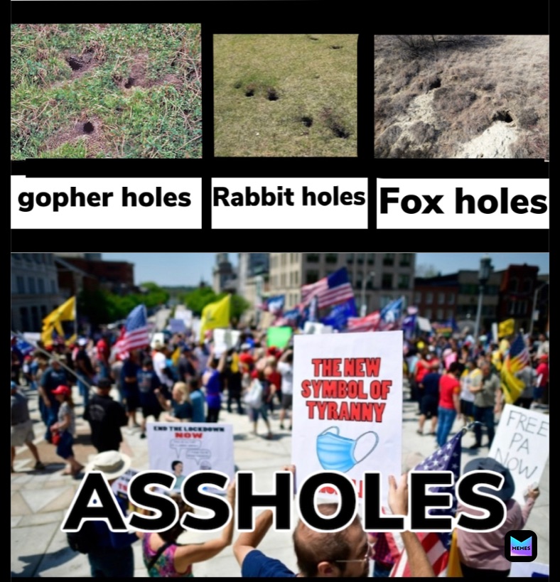 Meme by magicfishman69