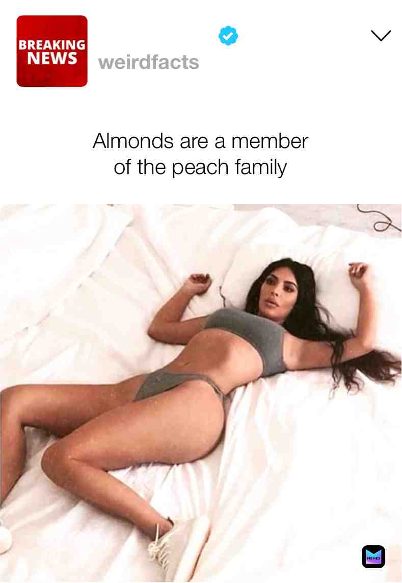 #funny #meme #peach #almond #fact #haha #memes #hahaha #hilarious #shook #instagram #dankmeme #dankmemes #best #wow