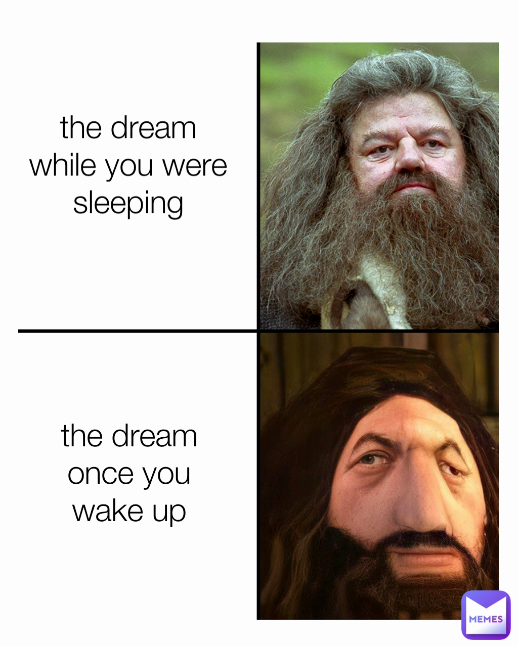 the dream while you were sleeping
 the dream once you wake up