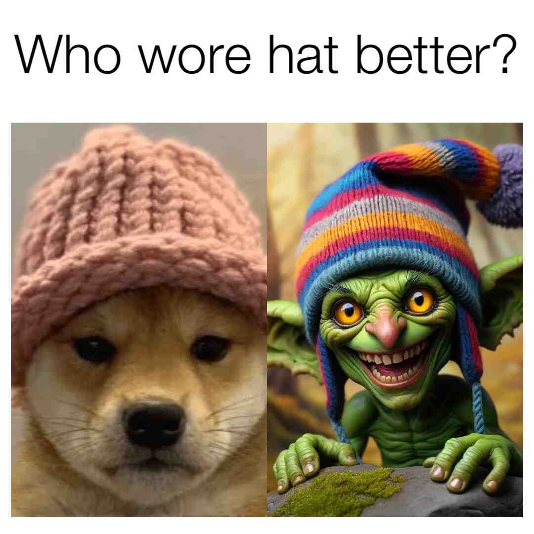 Dog wif hat or $PNS wif hat # #crypto