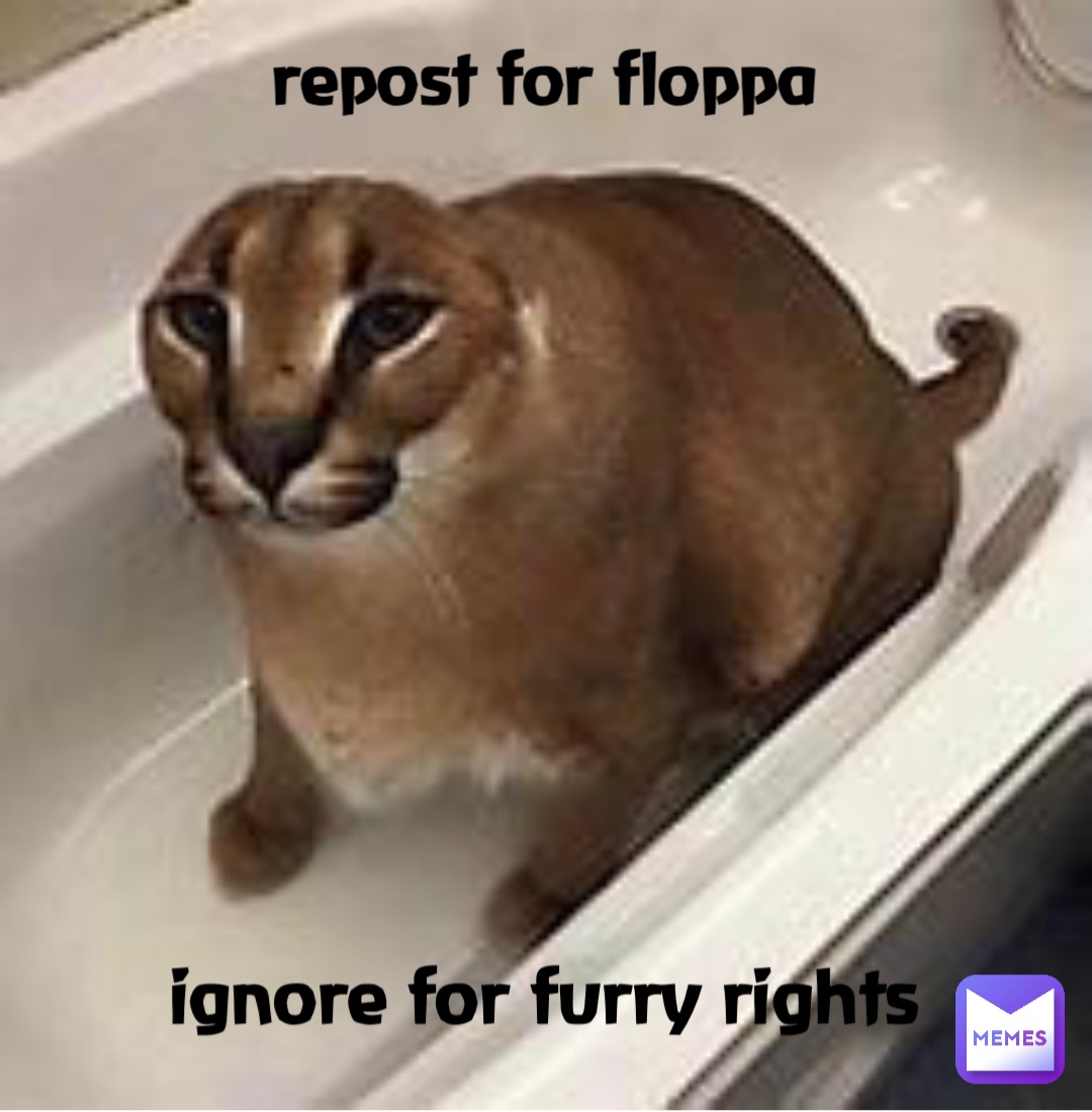 repost for floppa ignore for furry rights