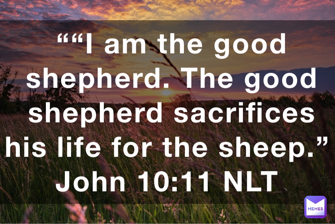 ““I am the good shepherd. The good shepherd sacrifices his life for the sheep.”
‭‭John‬ ‭10:11‬ ‭NLT‬‬