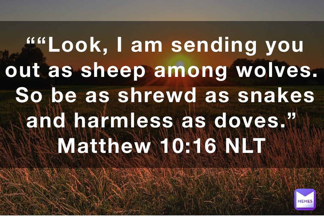 ““Look, I am sending you out as sheep among wolves. So be as shrewd as snakes and harmless as doves.”
‭‭Matthew‬ ‭10:16‬ ‭NLT‬‬