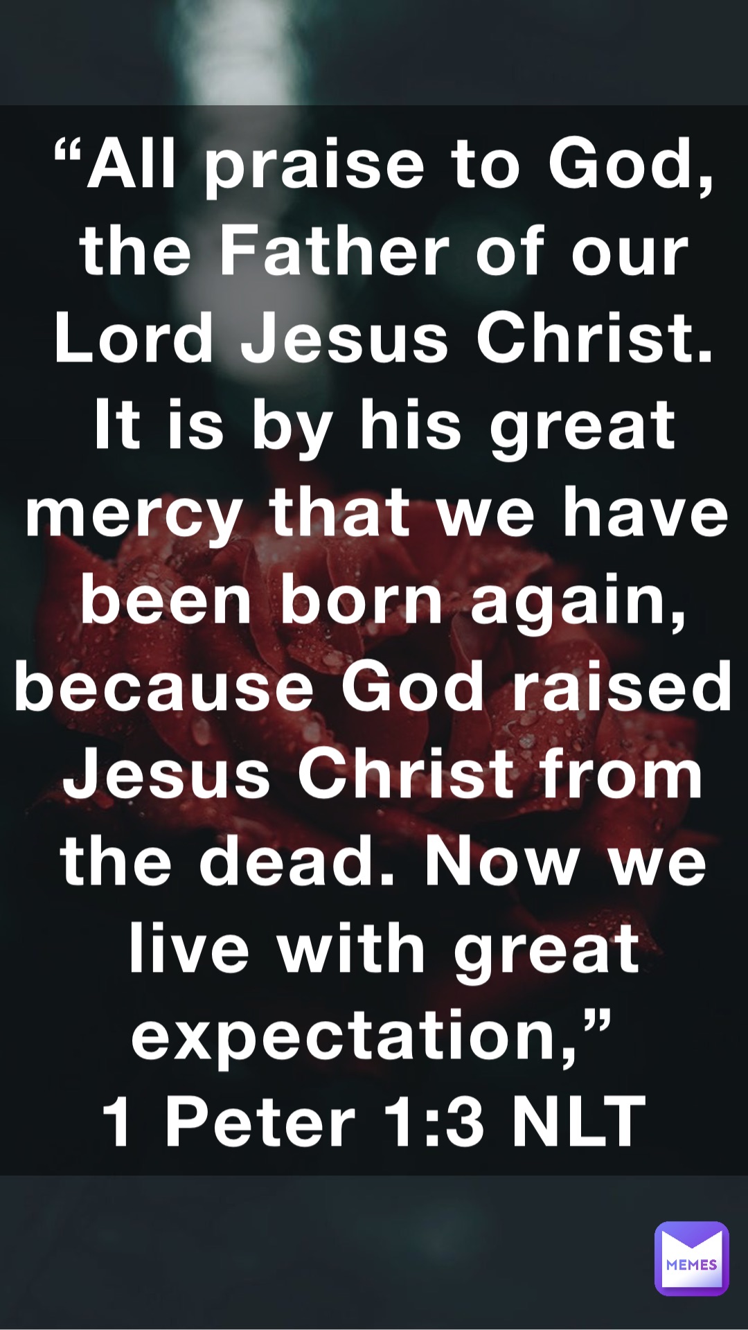 “All praise to God, the Father of our Lord Jesus Christ. It is by his great mercy that we have been born again, because God raised Jesus Christ from the dead. Now we live with great expectation,”
‭‭1 Peter‬ ‭1:3‬ ‭NLT‬‬