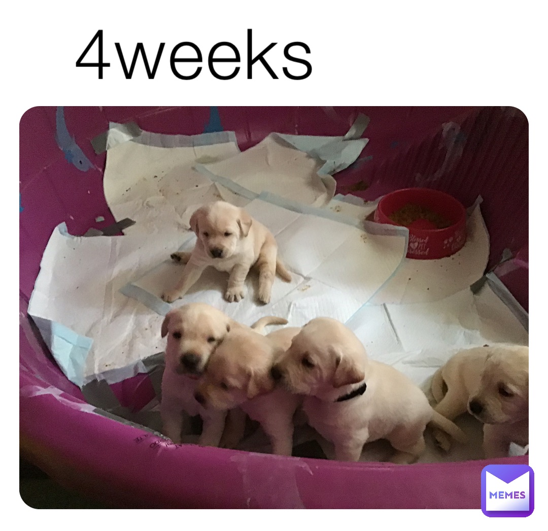 4weeks