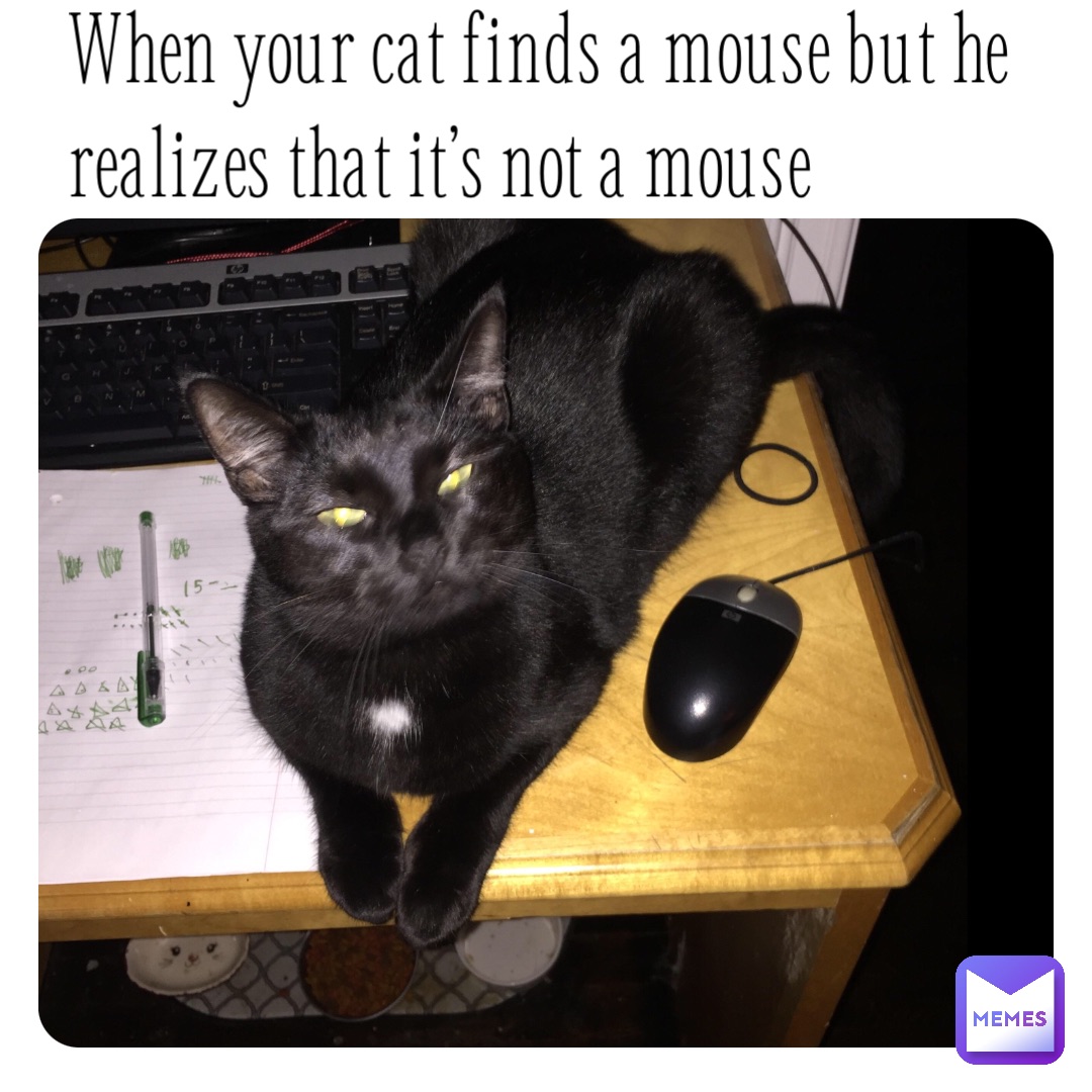 When your cat finds a mouse but he realizes that it’s not a mouse