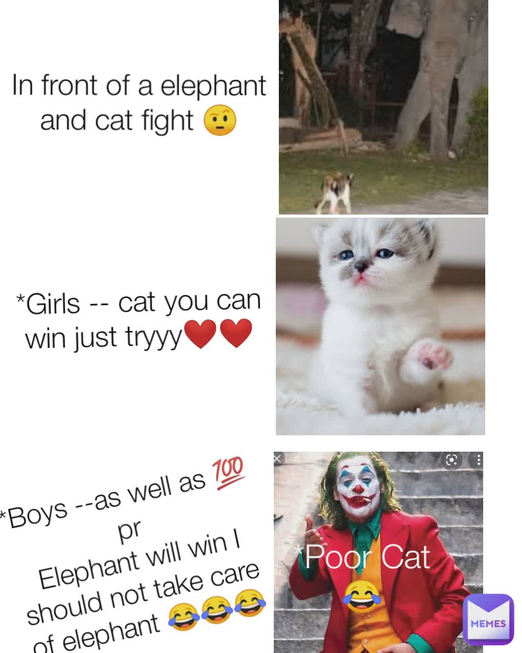 In front of a elephant and cat fight 🤨 *Boys --as well as 💯 pr
 Elephant will win I should not take care of elephant 😂😂😂 *Girls -- cat you can win just tryyy❤️❤️ *Poor Cat 😂