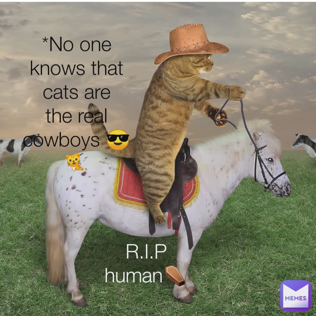 *No one knows cats are the real cowboys 😎🐈 *No one knows that cats are the real cowboys 😎🐈 R.I.P human⚰️