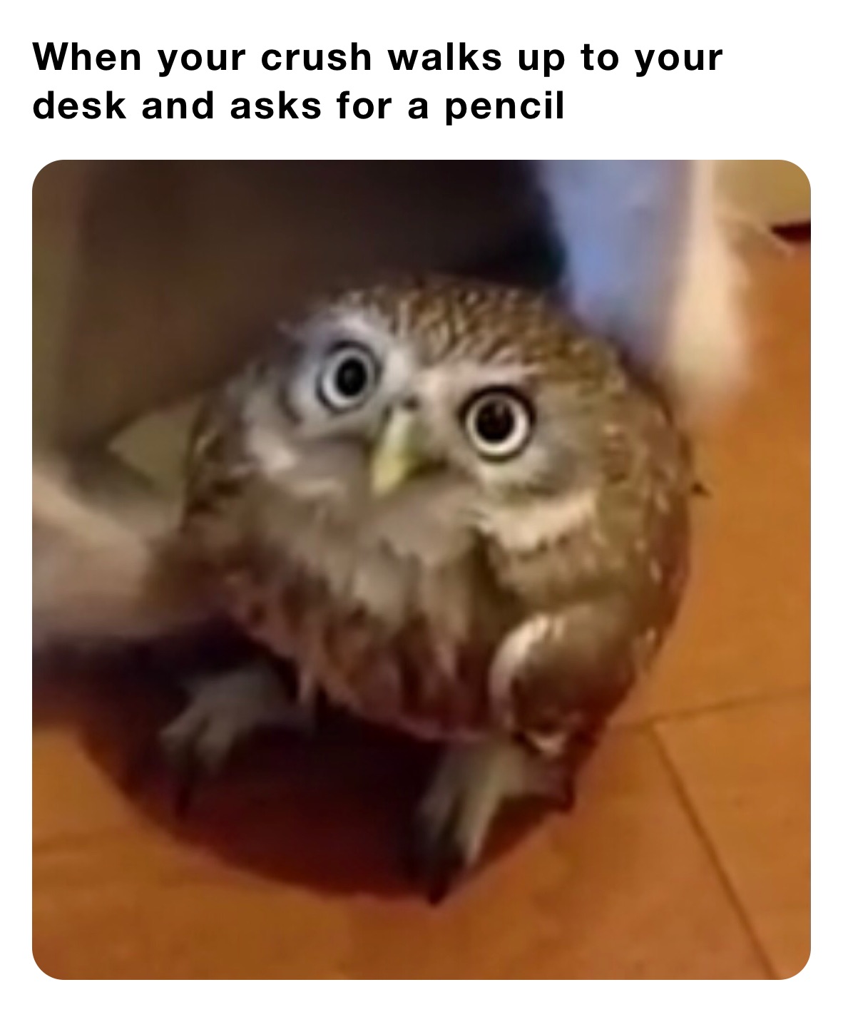 When your crush walks up to your desk and asks for a pencil