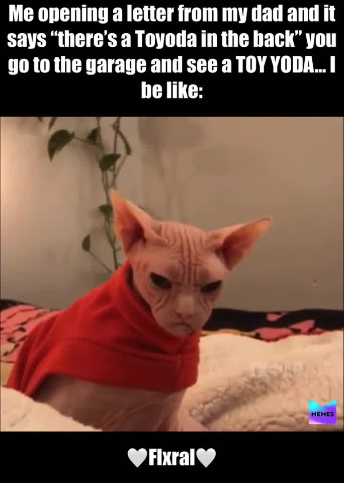 #messedup  #messedup  #mylifebelike  #mylifebelike  #relateable