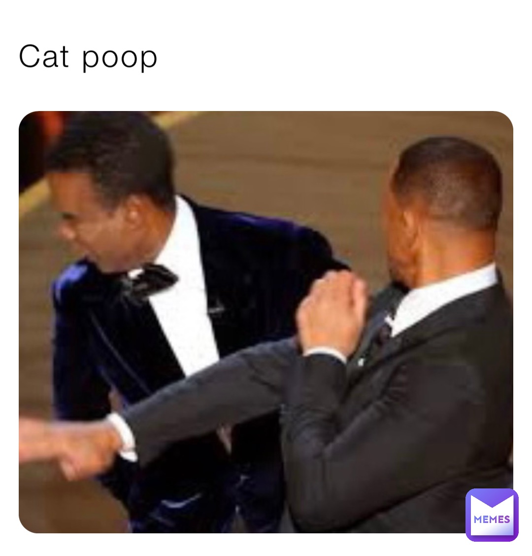 Cat poop