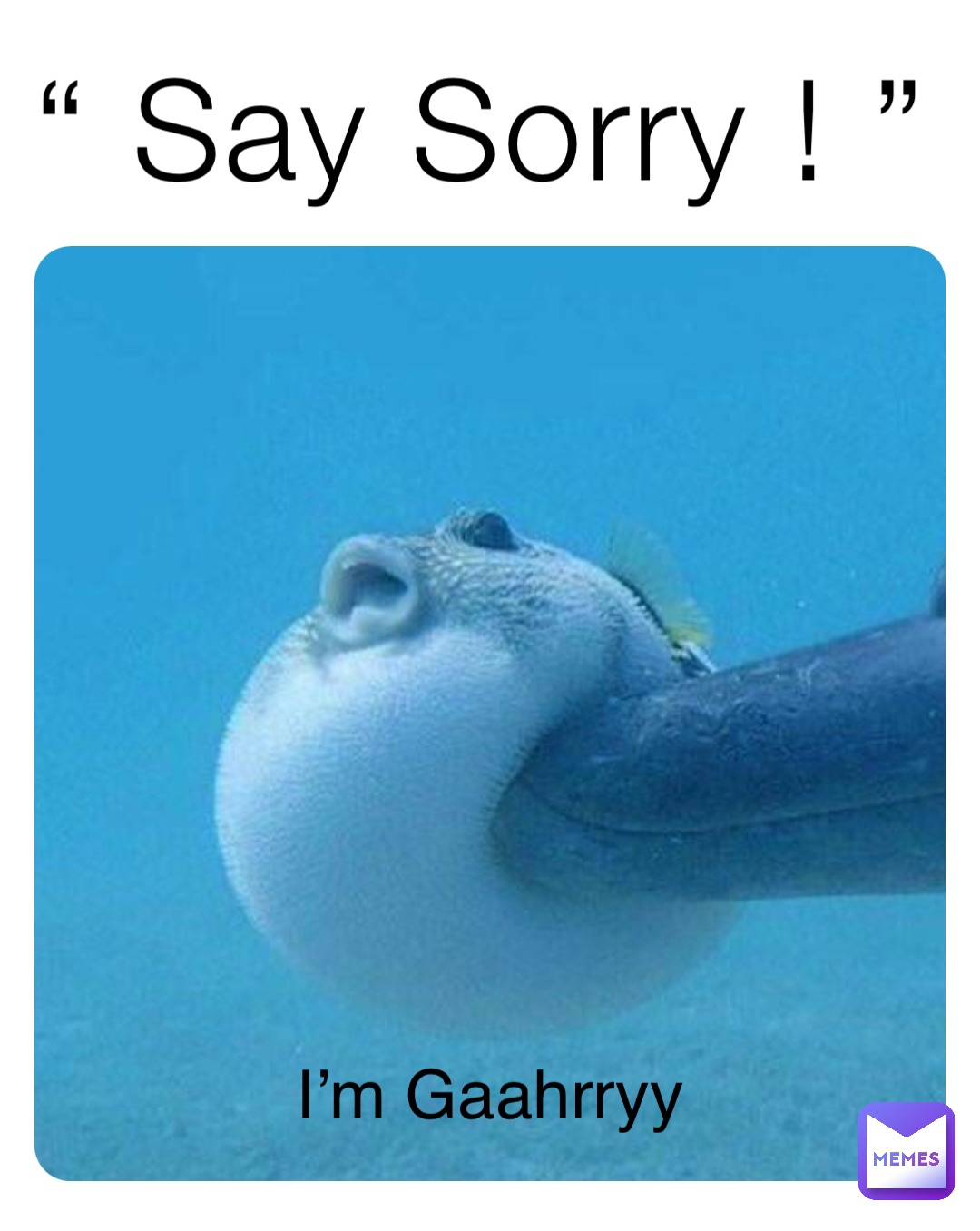 “ Say Sorry ! ” I’m Gaahrryy
